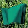 Presco Marking Flag, Green, Blank, PVC, PK100 4521G-200