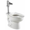 American Standard Toilet Bowl, 1.1 to 1.6 gpf, Flushometer, Floor Mount, Elongated, White 3451001.020