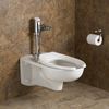 American Standard 1.28 gpf, Chrome, Single Flush, Toilet Automatic Flush Valve 6065121.002
